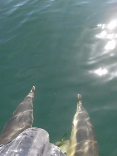 350129073_483922587233146_1019375161943257849_n