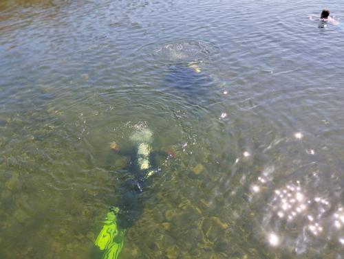 439631117_973127374821018_3823535814606570303_n