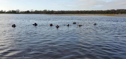 480448769_2997097733776933_4372889862406102092_n