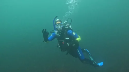 gpMediaMetadata 1746293389080-new