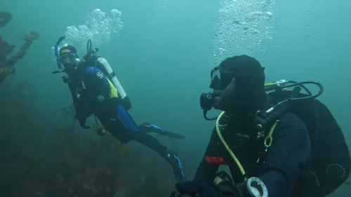 gpMediaMetadata 1746293514459-new