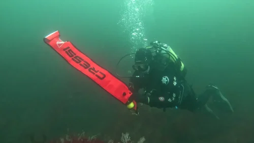 vlcsnap-2025-05-05-17h28m44s056-new