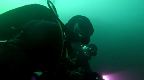 vlcsnap-2025-05-05-17h38m51s377-new