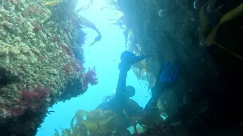 vlcsnap-2025-05-05-17h48m15s787-new