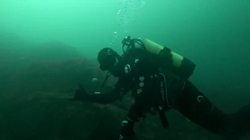 vlcsnap-2025-05-05-17h54m22s053-new