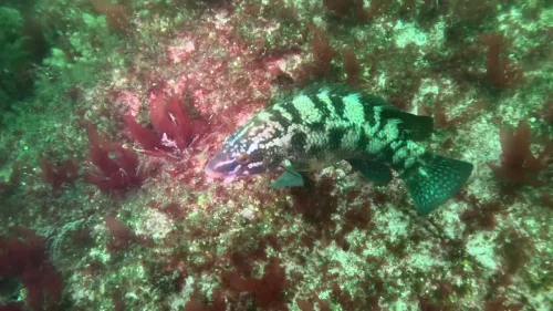 vlcsnap-2025-05-05-18h01m07s319-new